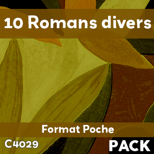 Pack de 10 romans divers Format Poche (soit le livre à 500 F)