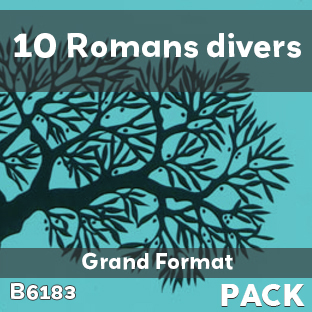 Pack 10 Romans divers - G.F., soit 1.000 F le livre