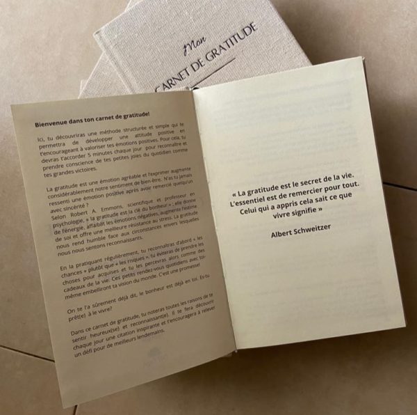 Mon carnet de gratitude - Livre neuf – Image 2