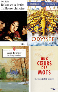 Pack de 10 romans Format Poche (soit le livre à 800 F) – Image 3