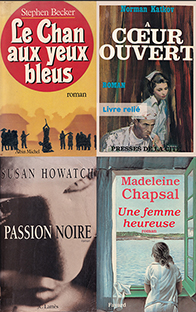 Pack de 10 romans grand format (soit le livre à 750 F) – Image 4