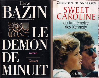 Pack de 10 romans grand format (soit le livre à 750 F) – Image 2