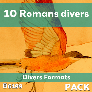 Pack 10 Romans divers formats (soit 450 F le livre)
