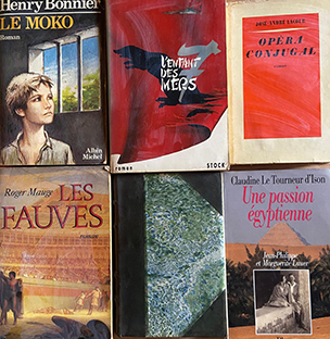 Pack de 10 romans grand format (soit le livre à 500 F) – Image 2