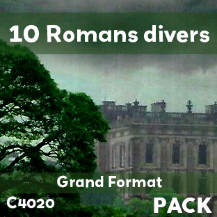 Pack de 10 romans divers Grand Format (soit le livre à 900 F)