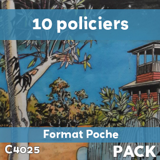 Pack de 10 romans Policiers (soit le livre à 300 F)